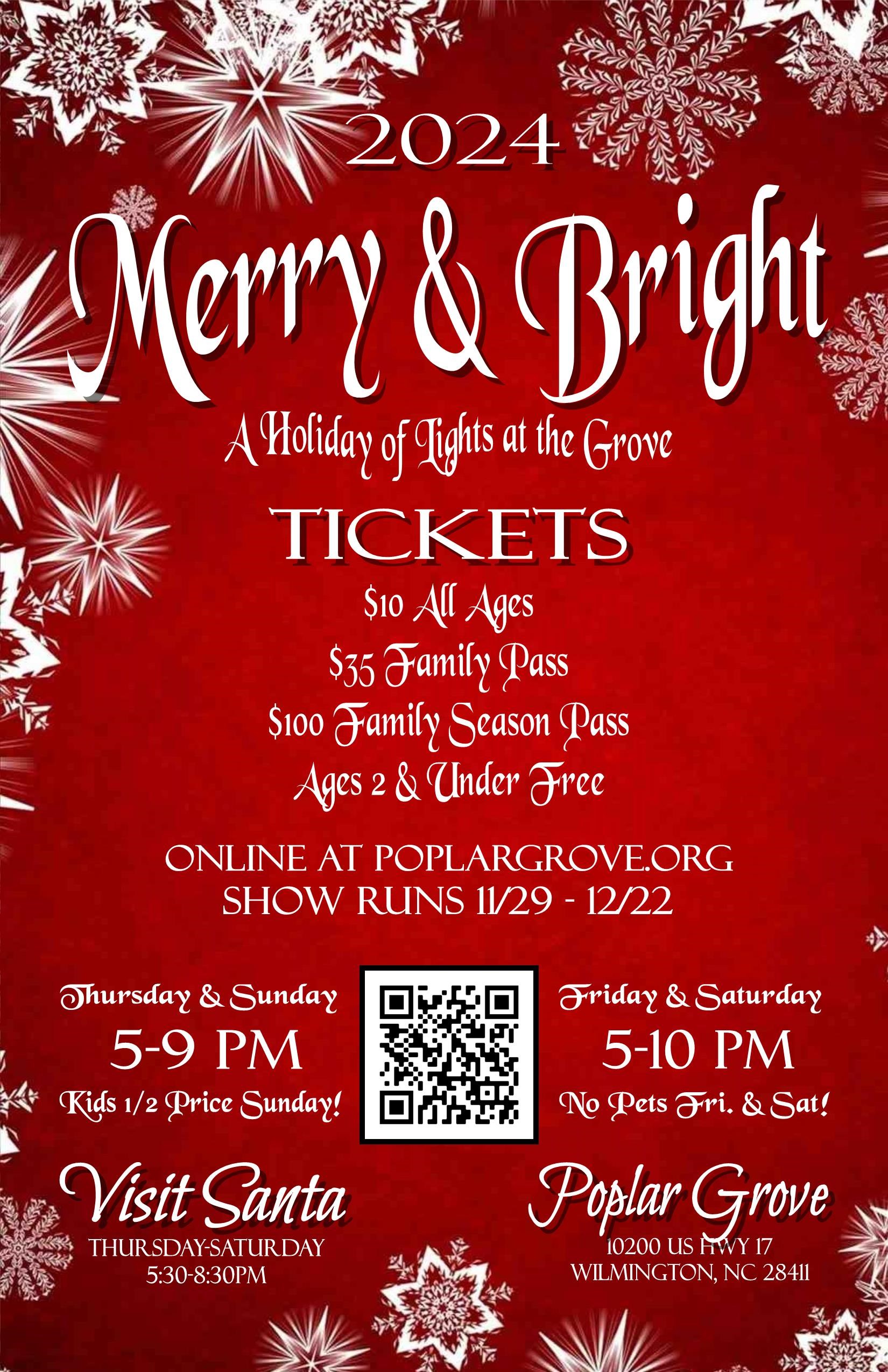 Merry and Bright: A Holiday of Lights